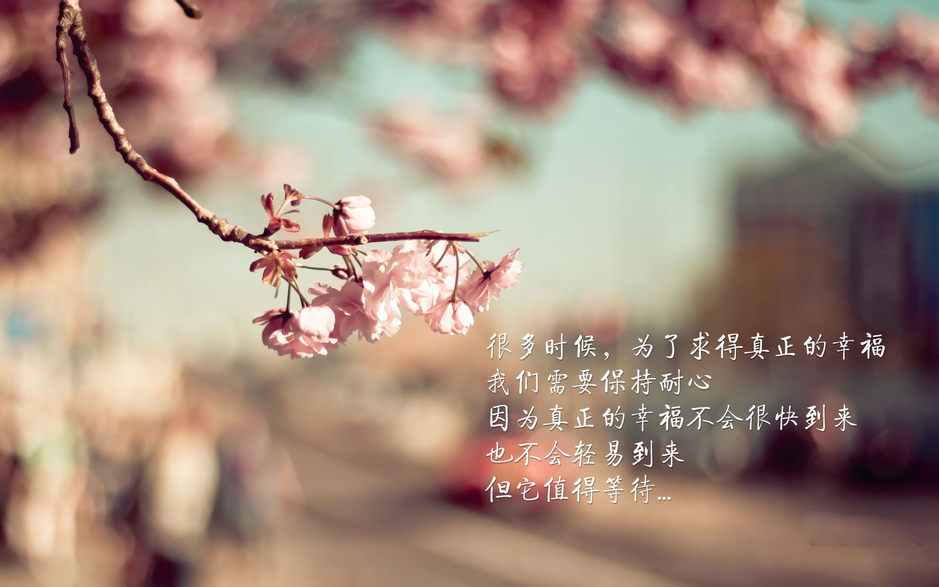 意甲裁判语义分析技术辅助VAR判罚的应用探索,足球var裁判